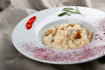 Risotto with porcini mushrooms on textile background