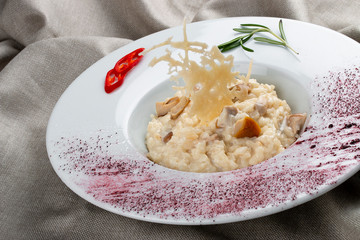 Risotto with porcini mushrooms on textile background