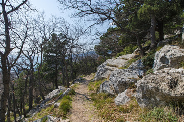 Fototapeta na wymiar pathway in mountain