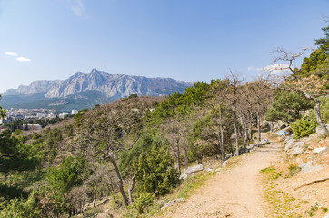 Fototapeta na wymiar pathway in mountain