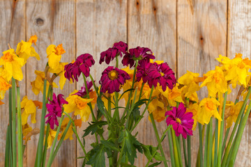 withered flowers of chrysanthemums and daffodils on a wooden background