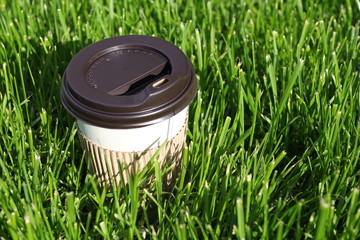 Paper cup in the grass