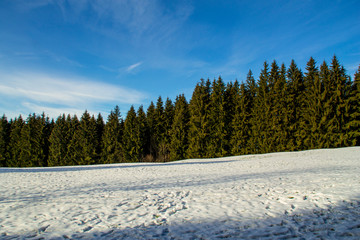 schnee-himmel-tannen-2