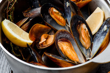 Mussel shells in a gray cauldron with a slice of lemon on a gray background. Close up. Space