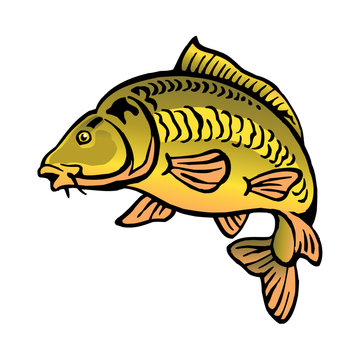 Carp Logo Images – Browse 8,982 Stock Photos, Vectors, and Video
