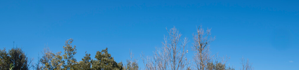 Bannière naturel 