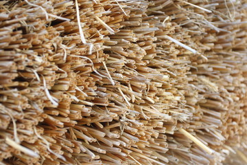Obraz premium Thatched roof