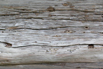 Old wood texture
