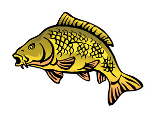 carp fish with fish scales big fish color icon