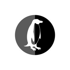 Penguin Logo Icon Illustration