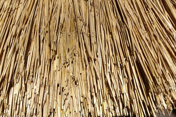 Thatched roof