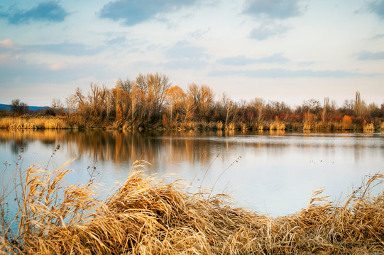 Kleiner Teich im Burgenland im Winter