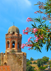 Fototapeta na wymiar Summer pink flower with blurred background with old street with church and castle in historical small town of Castiglione Della Pescaia in Tuscany, Grosseto Italy