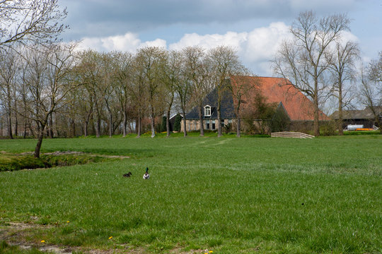 Frisian villages Netherlands. Friesland. Countrylife. Farmhouse