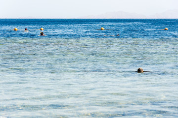 Travel and leisure, people swim in the blue beautiful sea