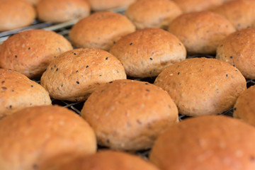 freshly baked bread.