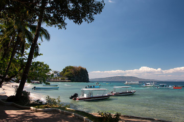 Philippines, Puerto Galera seashore - 257853234