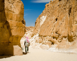 Bedouin walks among the rocks in a desert canyon in Egypt Dahab South Sinai