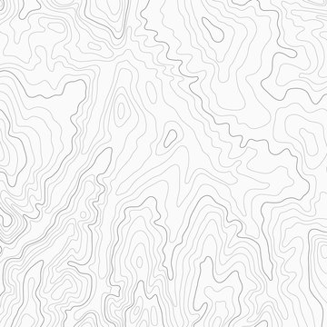 Light topographic topo contour map background, stock vector illustration