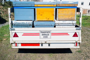 Trailer load with wooden hives ready to move