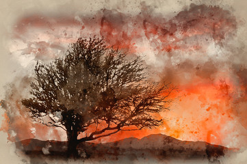 Tree silhouette against fiery beautiful sunset