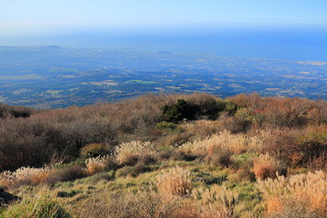 제주 한라 산에 있는 