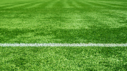 artificial grass at the soccer stadium