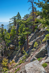 Rocky Mountainside