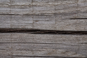 natural piece of wood, background, close up on cracked part 