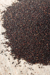 Fototapeta premium Raw organic black quinoa on cloth, side view. Close-up.