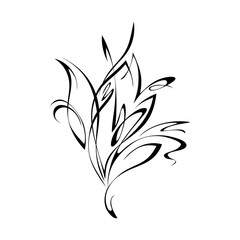 abstract ornament in black lines on white background