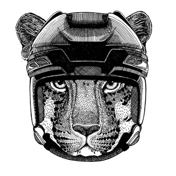 Wild cat, leopard, jaguar, panther, animal wearing hockey helmet. Hand drawn image of lion for tattoo, t-shirt, emblem, badge, logo, patch.