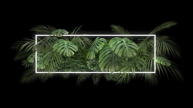 Tropical plant with neon light on an alpha channel