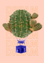 Risky journey, lets have an adventure. Green cactus as an alternative balloon with blue basket flying to the sky against light background. Wildest dreams. Modern design. Contemporary pop-art collage.