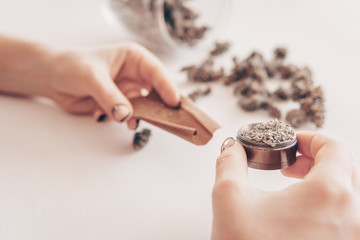 Woman preparing and rolling marijuana cannabis joint. Close up of marijuana blunt with grinder....
