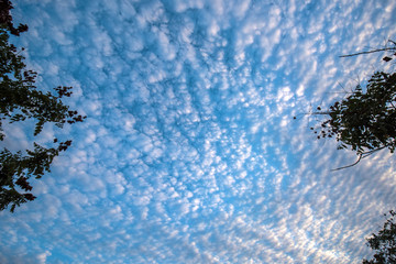 Blue sky and flying clouds over the city park, taking pictures at sunset