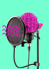 Speak louder and differently, dont be scared to talk spiny. Pink cactus as a soundstudios professional microphone with waves of voice. Alternative microphone. Modern design. Contemporary art collage.