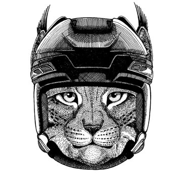 Wild cat, lynx, bobcat, trot, animal wearing hockey helmet. Hand drawn image of lion for tattoo, t-shirt, emblem, badge, logo, patch.