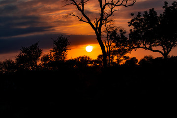 sunset in the savanna, south africa