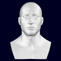 Bust of a man. Front view. 3D