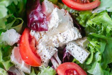 spring fitness salad. lettuce, radicio, tomatoes, and feta cheese with olive oil