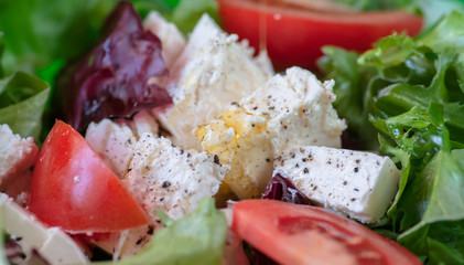 spring fitness salad. lettuce, radicio, tomatoes, and feta cheese with olive oil
