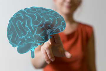 brain