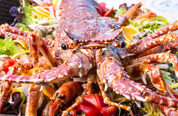 Close-up Lobster on tray