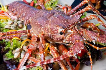 Live lobster on tray with cockles and lettuce