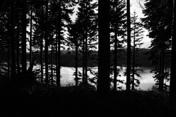 07 Alwen reservoir, North Wales