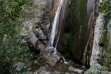 Los Padres National Forest