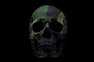  Camouflage color skull on isolated black background. 