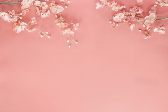 Coral Colored Floral Spring Background