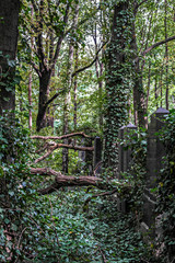 Ruhe und Besinnlichkeit auf dem Friedhof